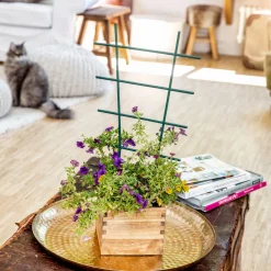 Blumenstütze 43x23 cm ^ Windhager Discount