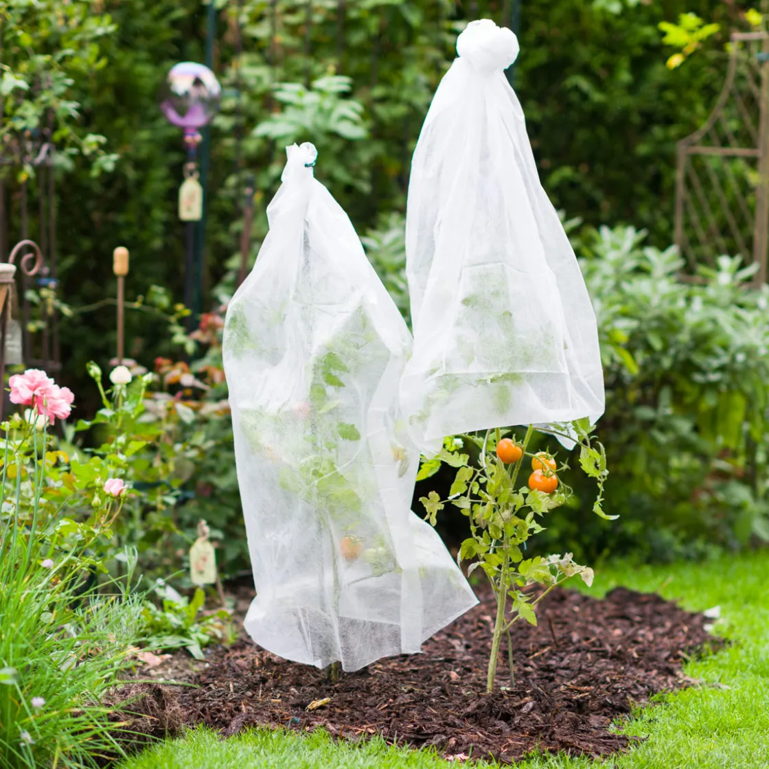 Tomatenvlies 18 g/m² 0,75x10 m ^ Windhager Clearance