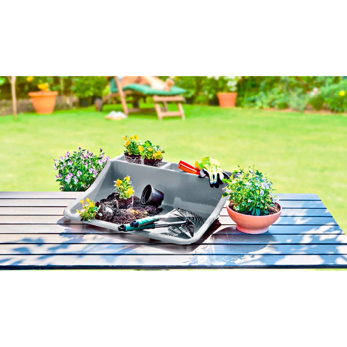Kunststoff Pflanzschale grau 61 x 55 x 15 cm ^ Wingart Discount